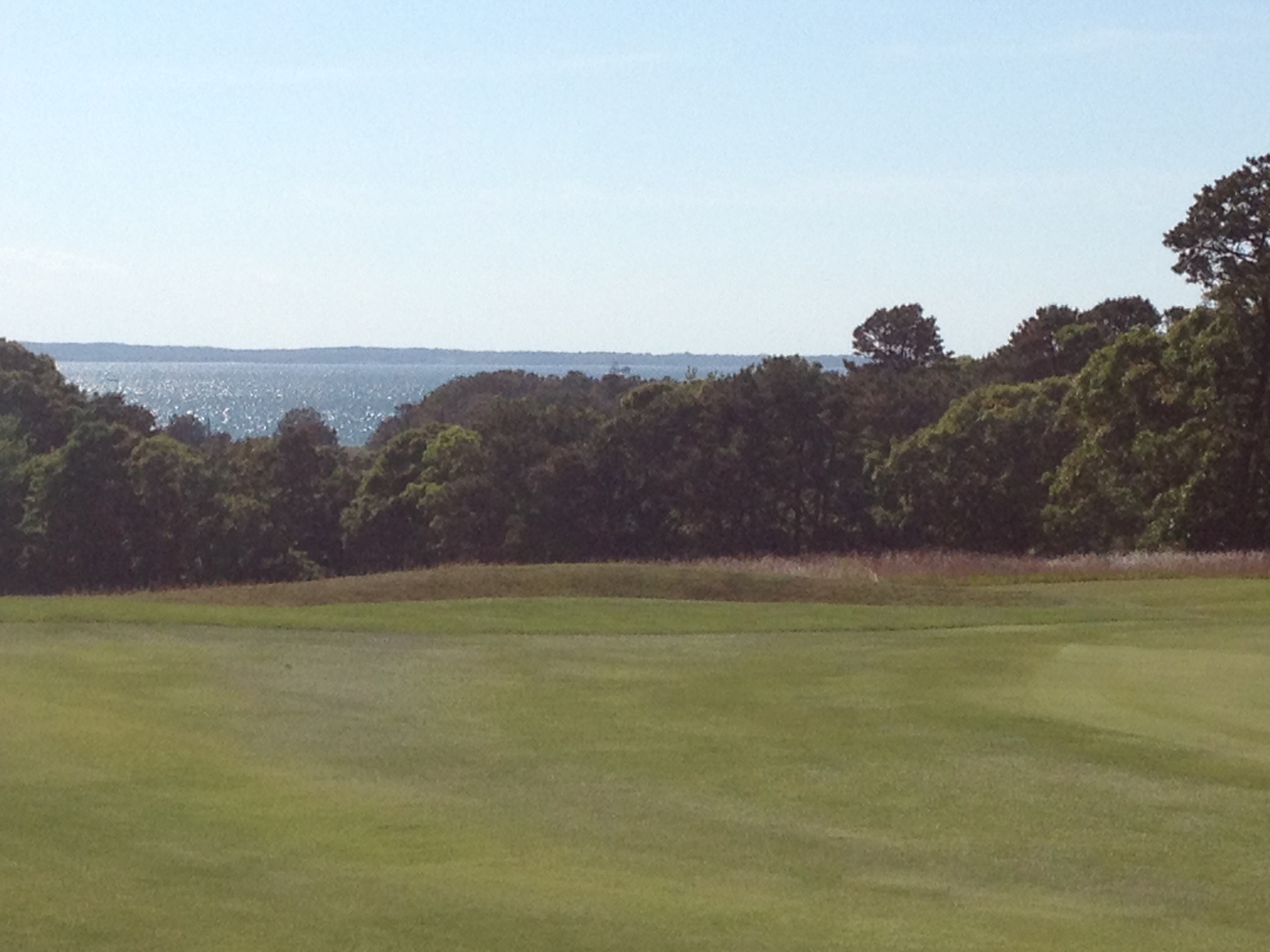 8th Hole Mink Meadlow